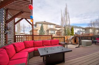 Photo 40: 317 Chapalina Terrace SE in Calgary: Chaparral Detached for sale : MLS®# A1197308
