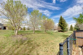 Photo 41: 112 Cranwell Crescent SE in Calgary: Cranston Detached for sale : MLS®# A1218888