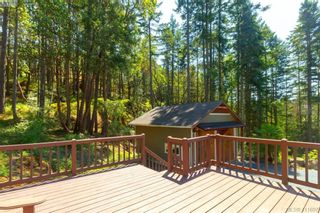 Photo 38: 672 Stewart Mountain Rd in VICTORIA: Hi Eastern Highlands House for sale (Highlands)  : MLS®# 816219
