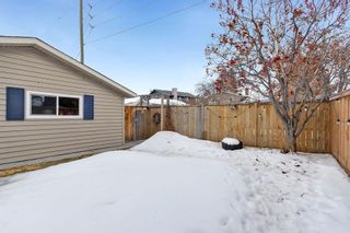 Photo 43: 135 Parkvalley Drive SE in Calgary: Parkland Detached for sale : MLS®# A2034937