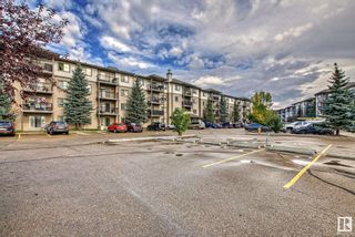 Photo 28: 134 1180 HYNDMAN Road in Edmonton: Zone 35 Condo for sale : MLS®# E4369182