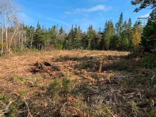 Photo 15: 32 Hollywood Drive in West Porters Lake: 31-Lawrencetown, Lake Echo, Port Vacant Land for sale (Halifax-Dartmouth)  : MLS®# 202225289