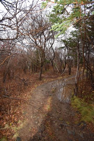 Photo 9: Lot 3 101 Highway in Plympton: Digby County Vacant Land for sale (Annapolis Valley)  : MLS®# 202306552