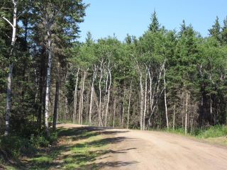 Photo 5: 36 Cache Creek Road in Carberry: R36 Residential for sale (R36 - Beautiful Plains)  : MLS®# 202224294