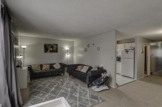 Photo 3: 53 & 55 Dovercliffe Way SE in Calgary: Dover Duplex for sale : MLS®# A1178005