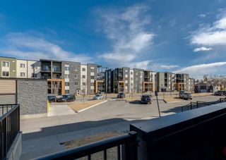Photo 21: 4106 1317 27 Street SE in Calgary: Albert Park/Radisson Heights Apartment for sale : MLS®# A2049354