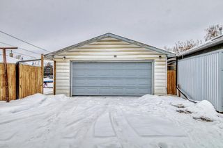 Photo 19: 2620 40 Street SE in Calgary: Forest Lawn Detached for sale : MLS®# A2030771