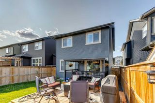 Photo 36: 120 Kingsmere Cove SE: Airdrie Detached for sale : MLS®# A2103806