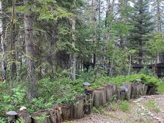 Photo 14: 4 Timber Circle: Rural Mountain View County Residential Land for sale : MLS®# A2051082