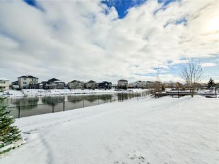 Photo 45: 193 Shady Shores Drive in Winnipeg: House for sale : MLS®# 202329422