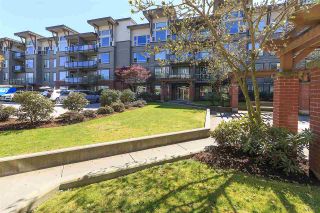 Photo 15: 415 33539 HOLLAND Avenue in Abbotsford: Central Abbotsford Condo for sale in "THE CROSSING" : MLS®# R2159342