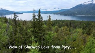 Photo 18: 6250 Eagle Bay Road, in Eagle Bay: Vacant Land for sale : MLS®# 10273744