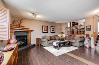 Photo 20: 47 Thornbird Way SE: Airdrie Detached for sale : MLS®# A2043792
