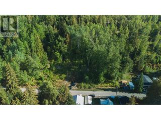 Photo 3: 130 Maple Street in Revelstoke: Vacant Land for sale : MLS®# 10262697