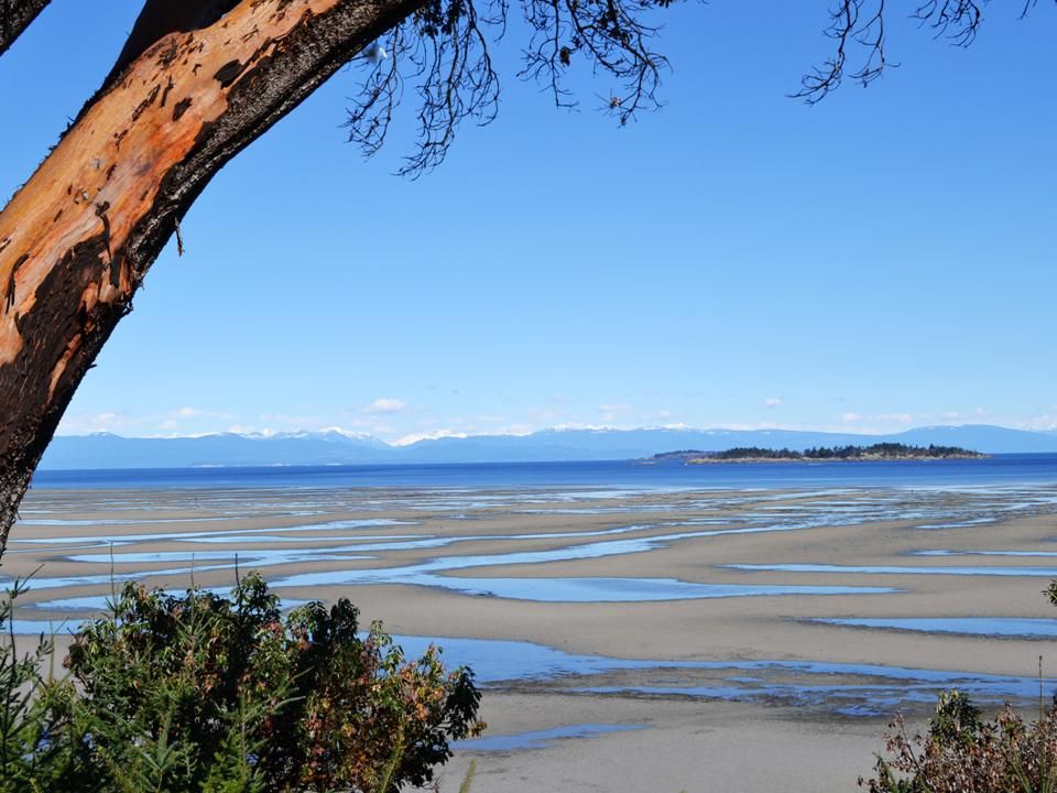 All About Parksville