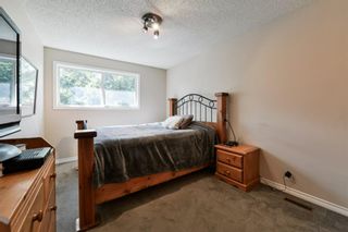 Photo 12: 264 Beddington Circle NE in Calgary: Beddington Heights Detached for sale : MLS®# A1226783