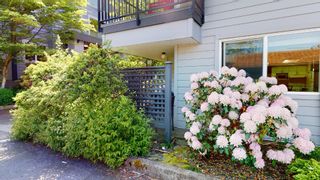 Photo 28: D101 40160 WILLOW Crescent in Squamish: Garibaldi Estates Condo for sale in "Diamondhead Place" : MLS®# R2777490
