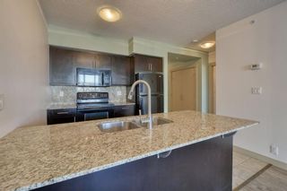 Photo 13: 1013 8880 Horton Road SW in Calgary: Haysboro Apartment for sale : MLS®# A1171744