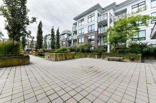 Photo 16: 126 9388 ODLIN Road in Richmond: West Cambie Condo for sale in "OMEGA" : MLS®# R2309657
