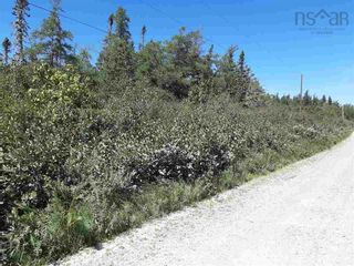 Photo 3: Lot 102 Long Cove Road in Port Medway: 406-Queens County Vacant Land for sale (South Shore)  : MLS®# 202201137