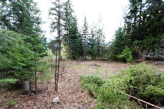 Photo 22: 99 Fraser Crescent: Anglemont Land Only for sale (North Shuswap)  : MLS®# 10097577