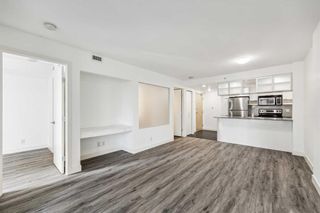 Photo 14: 701 1110 11 Street SW in Calgary: Beltline Apartment for sale : MLS®# A2114218