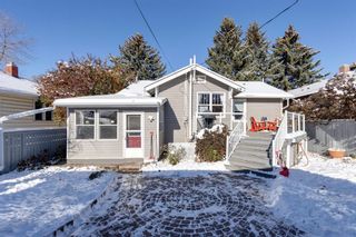Photo 41: 233 10 Avenue NE in Calgary: Crescent Heights Detached for sale : MLS®# A2090341
