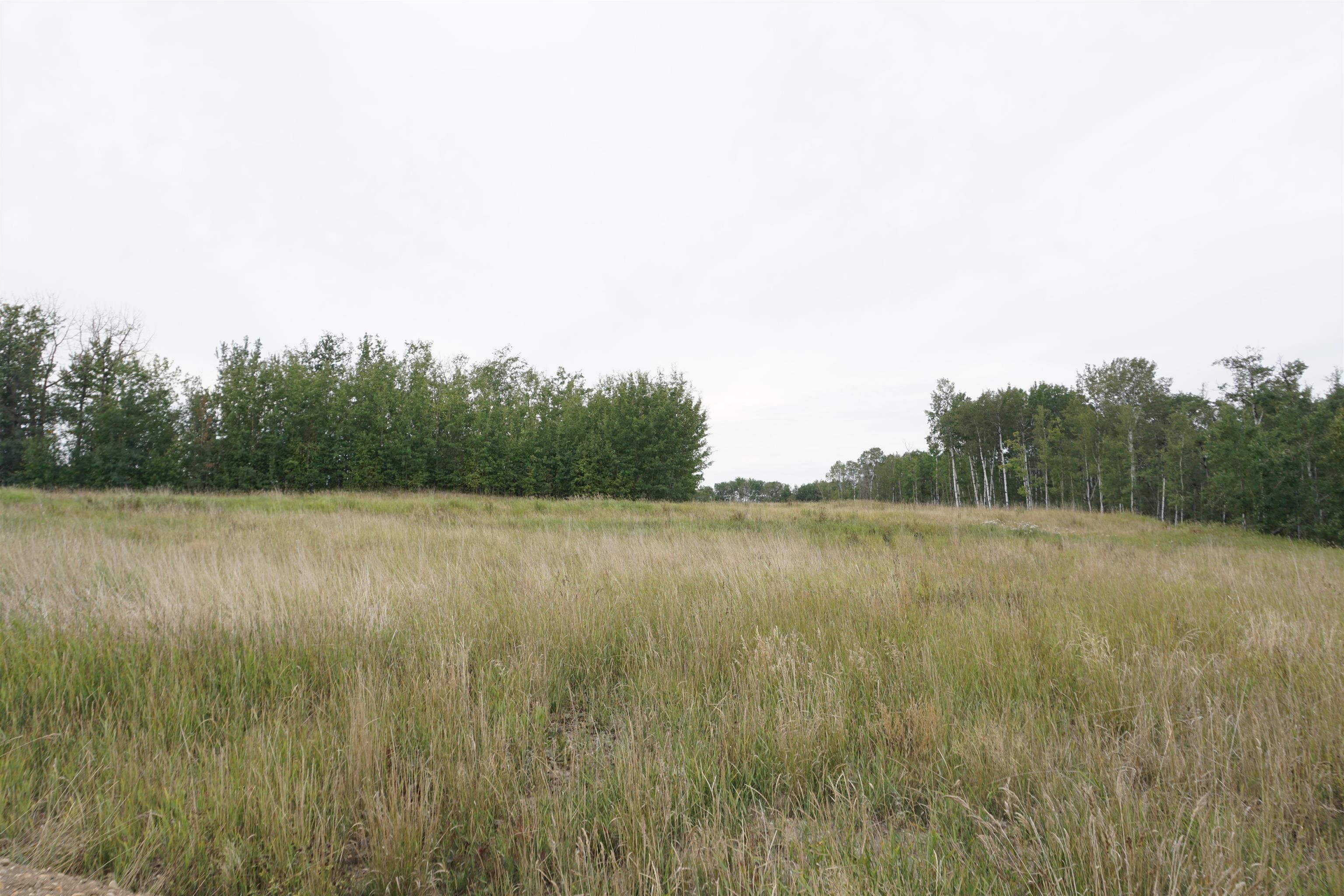 Main Photo: 14 53214 RR 13: Rural Parkland County Rural Land/Vacant Lot for sale : MLS®# E4270600