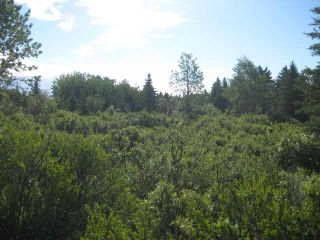 Photo 2: 12 KMS NORTH ON COCHRANE in COCHRANE: Rural Rocky View MD Rural Land for sale : MLS®# C3526638
