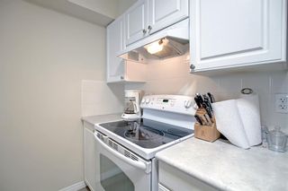 Photo 5: 305 428 Chaparral Ravine View SE in Calgary: Chaparral Apartment for sale : MLS®# A1244179