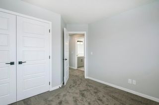 Photo 40: 38 Wolf Hollow Way SE in Calgary: C-281 Detached for sale : MLS®# A1013353