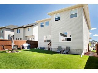 Photo 37: 129 ROYAL BIRCH Bay NW in Calgary: Royal Oak House for sale : MLS®# C4074421