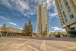 Photo 46: 1105 99 Spruce Place SW in Calgary: Spruce Cliff Apartment for sale : MLS®# A2127352