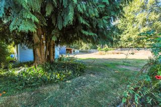 Photo 66: 2281 Fearon Rd in Campbell River: CR Campbell River South House for sale : MLS®# 913247