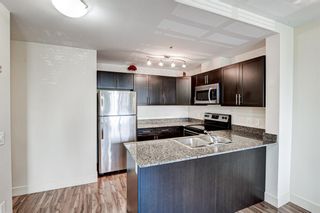 Photo 11: 315 955 Mcpherson Road NE in Calgary: Bridgeland/Riverside Apartment for sale : MLS®# A1240556