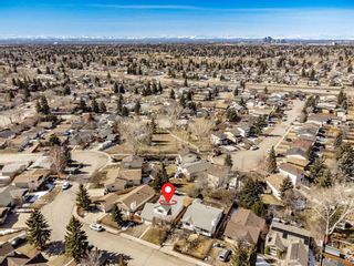 Photo 32: 35 Abadan Crescent NE in Calgary: Abbeydale Detached for sale : MLS®# A2121572