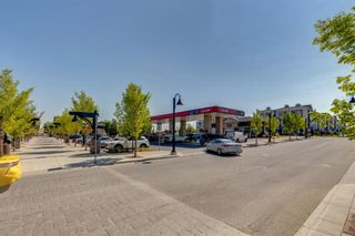 Photo 24: 101 130 Auburn Meadows View SE in Calgary: Auburn Bay Apartment for sale : MLS®# A1253190
