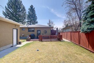 Photo 47: 528 96 Avenue SE in Calgary: Acadia Detached for sale : MLS®# A2008416