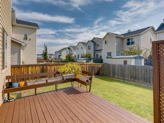 Photo 42: 17 ROYAL ELM Way NW in Calgary: Royal Oak Detached for sale : MLS®# A1034855
