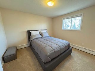 Photo 17: 101 10 Dover Point SE in Calgary: Dover Apartment for sale : MLS®# A2130745