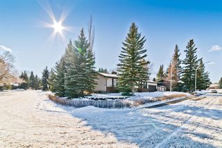 Photo 6: 103 Canova Place SW in Calgary: Canyon Meadows Detached for sale : MLS®# A1189336