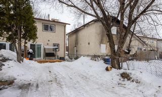 Photo 26: 143 Albina Way in Winnipeg: Tyndall Park Residential for sale (4J)  : MLS®# 202304840