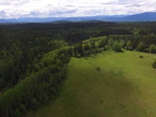 Photo 37: 16563 OLD BABINE LAKE Road in Smithers: Smithers - Rural House for sale (Smithers And Area (Zone 54))  : MLS®# R2537253