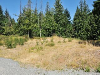 Photo 13: 2039 Ingot Dr in COBBLE HILL: ML Shawnigan House for sale (Malahat & Area)  : MLS®# 677950