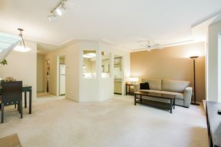 Photo 12: 107 8611 ACKROYD ROAD in Richmond: Brighouse Condo for sale : MLS®# R2316280