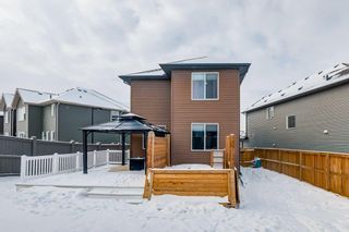 Photo 33: 116 Evansridge Close NW in Calgary: Evanston Detached for sale : MLS®# A2032599