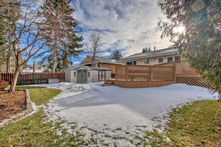 Photo 44: 219 Varsity Estates Mews NW in Calgary: Varsity Detached for sale : MLS®# A2104568