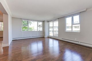 Photo 4: 407 522 MOBERLY Road in Vancouver: False Creek Condo for sale (Vancouver West)  : MLS®# R2816913
