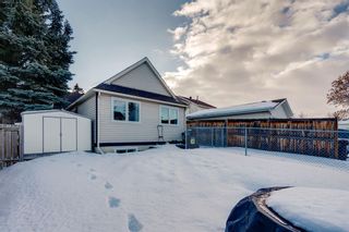 Photo 37: 41 Queen Anne Close SE in Calgary: Queensland Detached for sale : MLS®# A2021417