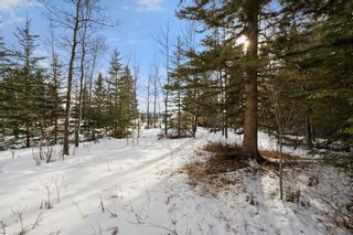 Photo 10: 8 South Raven Close: Rural Clearwater County Detached for sale : MLS®# A1186166